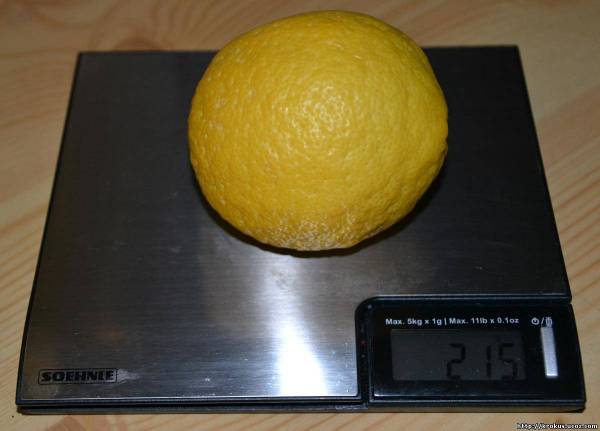 Плод Павловского лимона, вес 215 гр.